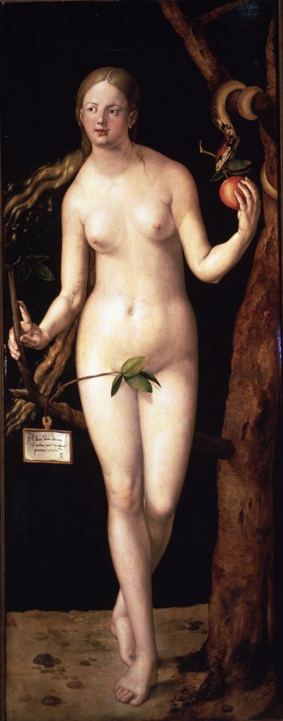 Eva de Albrecht Dürer or Duerer