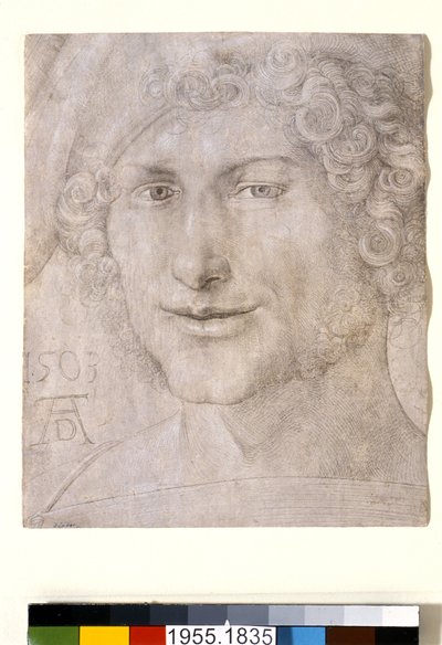 Cabeça de um jovem, 1503 de Albrecht Dürer