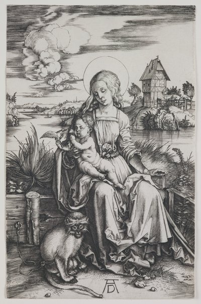 Madona com o macaco, c.1498 (gravura) de Albrecht Dürer or Duerer