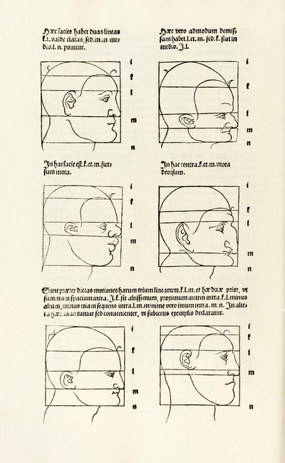 Proporções da cabeça humana de "Hierinn sind begriffen vier bücher von menschlicher Proporção" (Quatro livros de proporção humana) de Albrecht Dürer