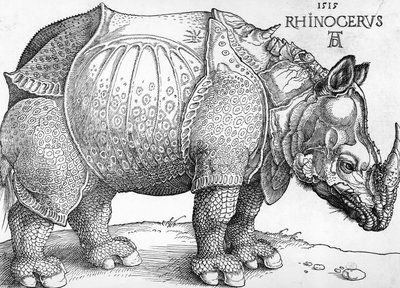 Rinoceronte de Albrecht Dürer