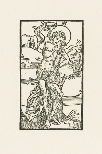 São Sebastião de Albrecht Dürer or Duerer