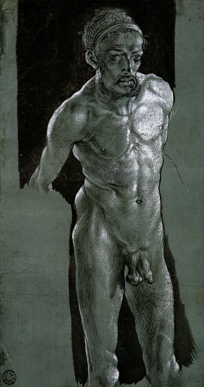 Auto-retrato, c.1503 (tinta no papel) de Albrecht Dürer