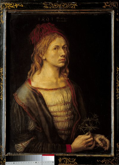 Auto-retrato com cardo de Albrecht Dürer