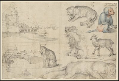 Esboços de animais e paisagens, 1521 de Albrecht Dürer