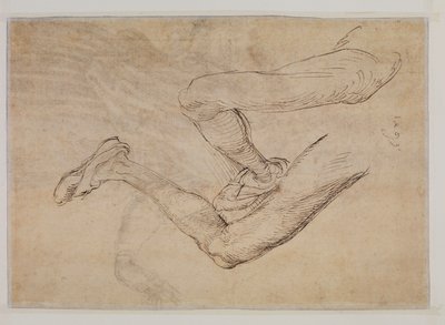 Estudo de uma perna esquerda sob dois pontos de vista de Albrecht Dürer