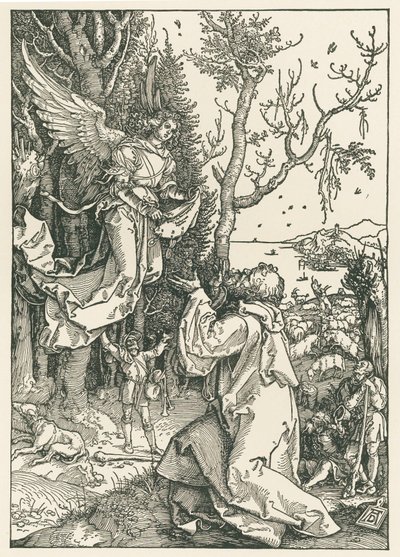 O anjo que traz a mensagem a Joaquim, c.1504 (xilogravura) de Albrecht Dürer or Duerer