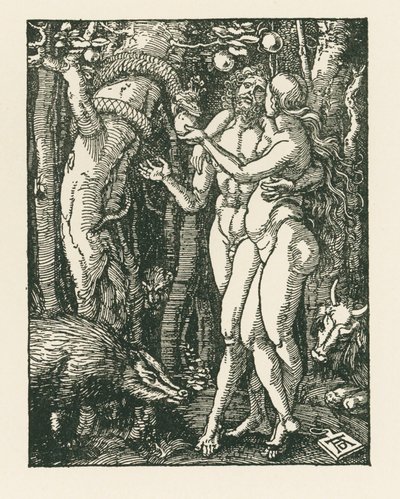 A Queda do Homem, c.1510 (xilogravura) de Albrecht Dürer or Duerer