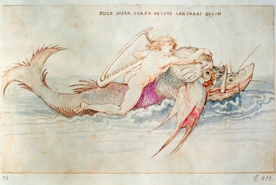 O poeta grego Arion montando o golfinho, c.1515 (aguarela sobre papel) de Albrecht Dürer or Duerer
