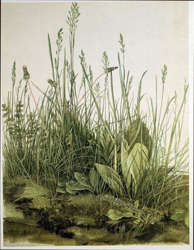O grande pedaço de relva de Albrecht Dürer or Duerer