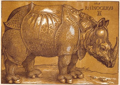 O Rinoceronte de Albrecht Dürer or Duerer
