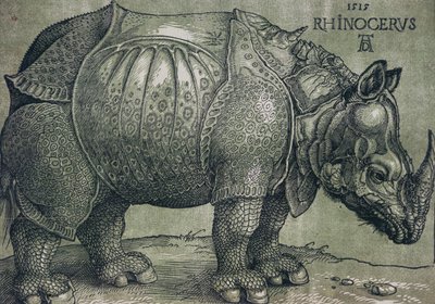O Rinoceronte, 1515 de Albrecht Dürer