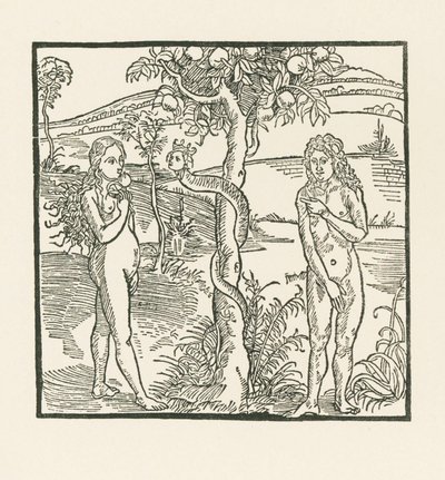 A queda. Ilustração de "Der Ritter von Turn", c.1493-93 (xilogravura) de Albrecht Dürer or Duerer