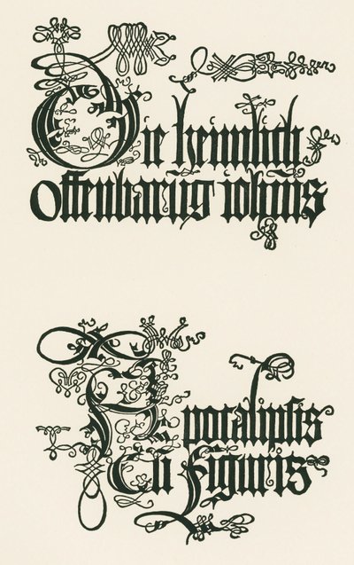 Título da edição alemã de 1498: A Revelação Secreta de João ... de Albrecht Dürer or Duerer