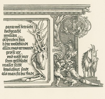 Arco do Triunfo do Imperador Maximiliano I de Albrecht Dürer or Duerer