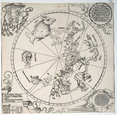Imagem desconhecida de Albrecht Dürer