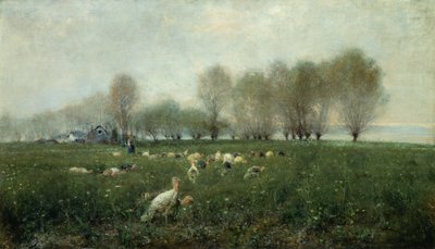 Perus no campo ao pôr-do-sol (óleo sobre tela) de Alceste Campriani