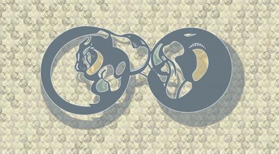 Resumo: Infinito Felino de Alejandra Winkhaus