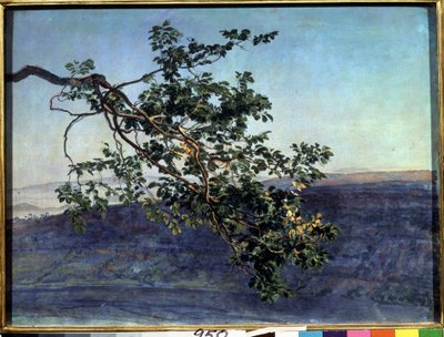 "La branche" Peinture de Alexander Ivanov (1806-1858) 1840-1850 Galeria Estadual Tretyakov, Moscovo de Aleksandr Andreevich Ivanov