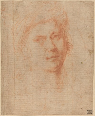 Chefe de uma Juventude de Alessandro Allori