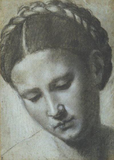 A cabeça de uma mulher com cabelo trançado (carvão vegetal e giz branco na carta azzura) de Alessandro Bonvicino Moretto