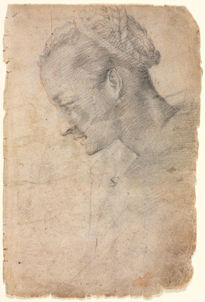 Perfil da cabeça de uma mulher, segundo semestre de 1500. de Alessandro Casolani