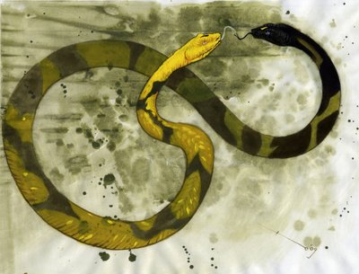Fabulosa criatura: representação de uma Amphisbene, cobra com duas cabeças. Desenho de Alessandro Lonati de Alessandro Lonati