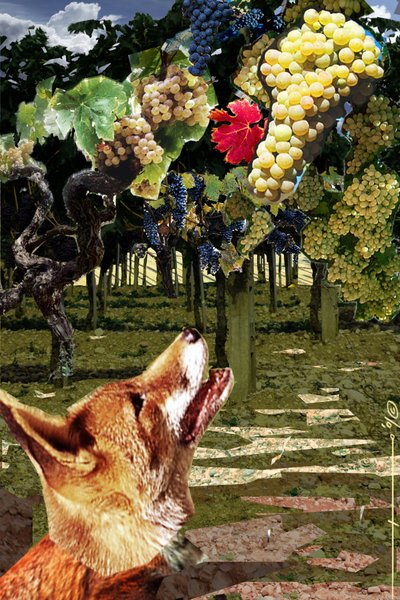 A raposa e as uvas Ilustração para a fábula de Esope (século VII-6 a.C.) escritor grego. Ilustração de Alesandro Lonati. 2010 de Alessandro Lonati
