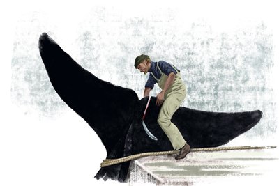 Barco baleeiro cortando a cauda de uma baleia de Alessandro Lonati
