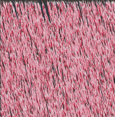 Margem I,2019,(meios mistos) de Alex Caminker