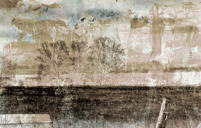 brown fog,2019,(mixed media) de Alex Caminker