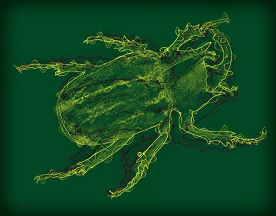 bug, 2020, (mídia mista) de Alex Caminker