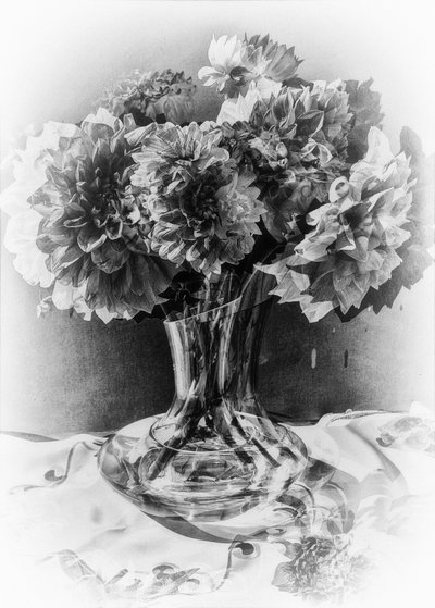 bouquet de cristal,2019,(fotografia) de Alex Caminker