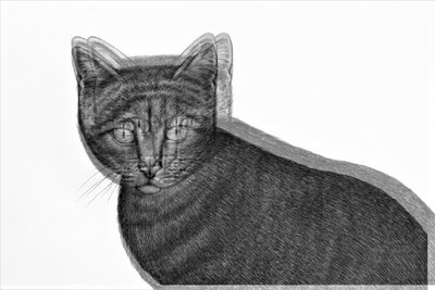 gato elétrico,2019,(meio misto) de Alex Caminker