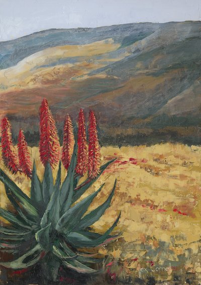 Aloe Vermelho: Flor do Deserto de Alex Cornell