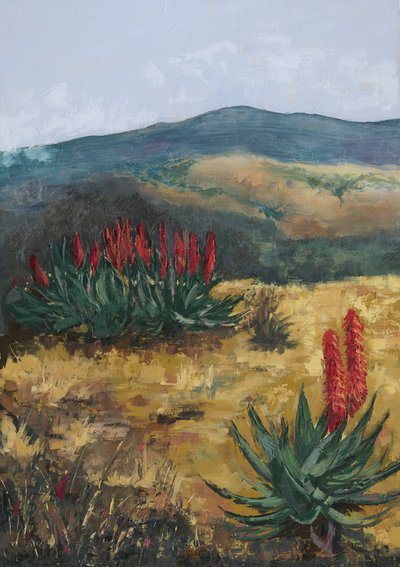 Red Aloes Desert Hills de Alex Cornell