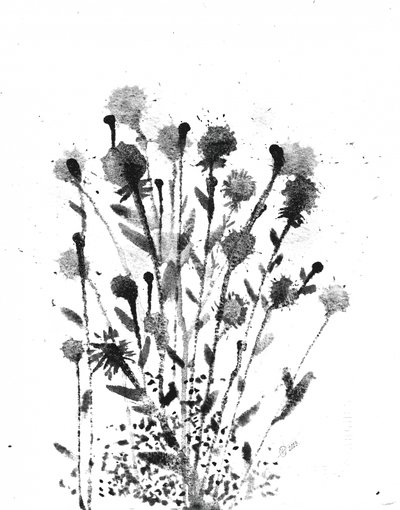 Flores de tinta abstratas de Alex Walsh