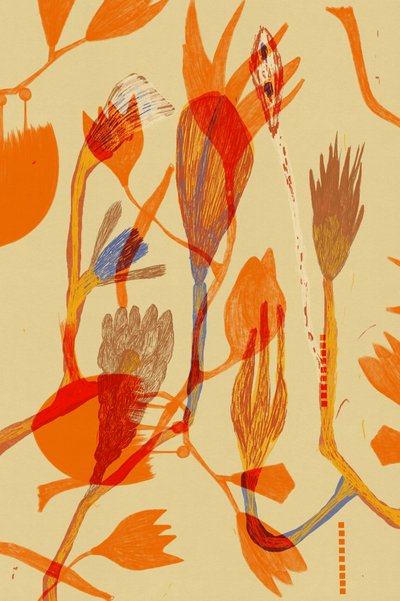 Dia de Alexander Adiels