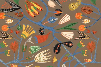 Lâmina de Alexander Adiels