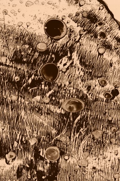 Oxigénio de Alexander Adiels