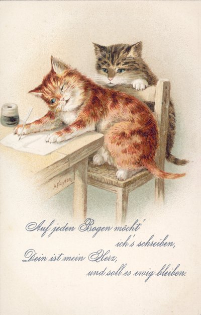 Postal humorístico de um gato (litografia a cores) de Alexander Francis (after) Lydon
