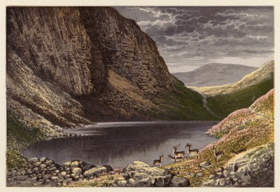 Paisagem de lagos escoceses: O lago Dhu, Loch-na-gar (litografia a cores) de Alexander Francis (after) Lydon