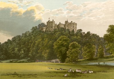 Castelo de Dunster de Alexander Francis Lydon