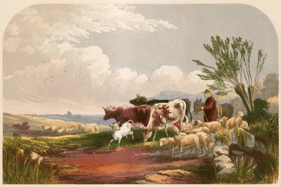Ilustração para a vila deserta de Goldsmith de Alexander Francis Lydon