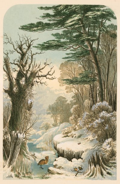Ilustração para as madeiras de Longfellow no inverno de Alexander Francis Lydon