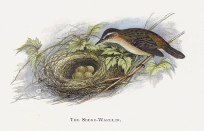 O Tedge-Warbler de Alexander Francis Lydon