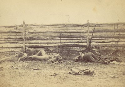 Vista no campo, no lado oeste da estrada de Hagerstown, após a batalha de Antietam, ..., 1862. de Alexander Gardner