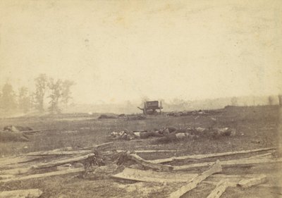 Vista no campo de batalha de Antietam, setembro de 1862, 1862. de Alexander Gardner