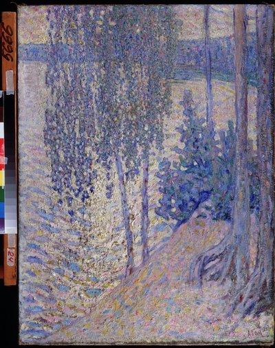 "Les bouleaux" (Birches) Peinture de Alexander Fyodorovich Gaush (1873-1947) 1910 environmental State Art Museum of the Chuvash Republic Tcheboksary de Alexander Gaush