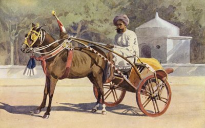 A Benares Ekka de Alexander Henry Hallam Murray